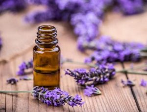 روغن اسطوخودوس
