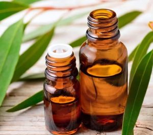 روغن اکالیپتوس